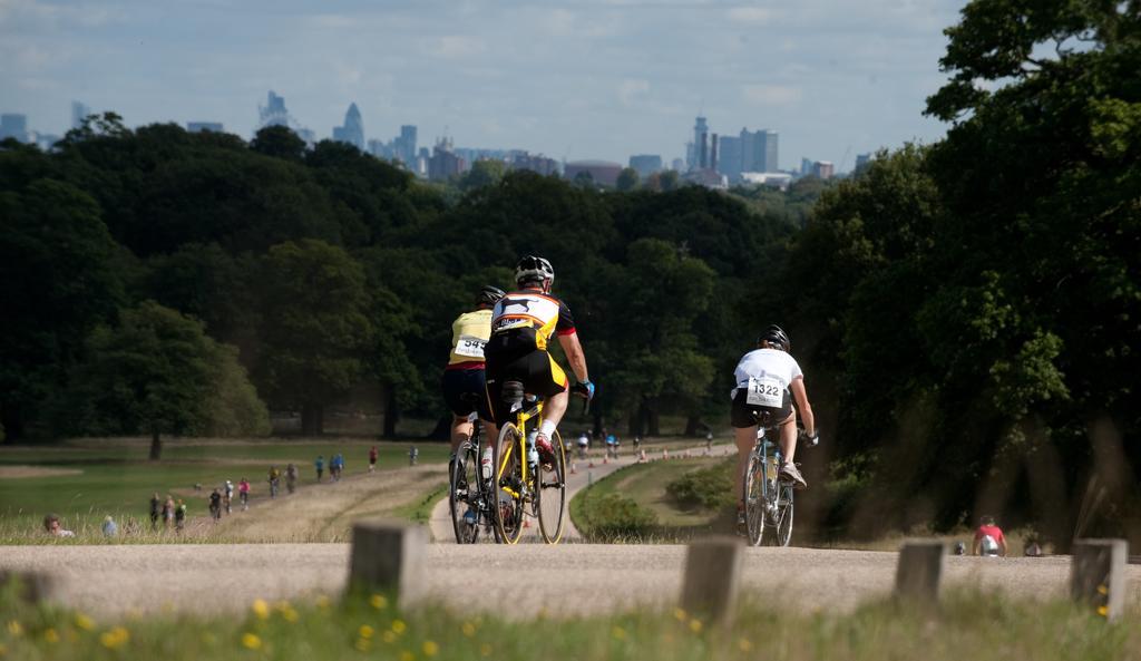 Londonhomegardens Eksteriør billede